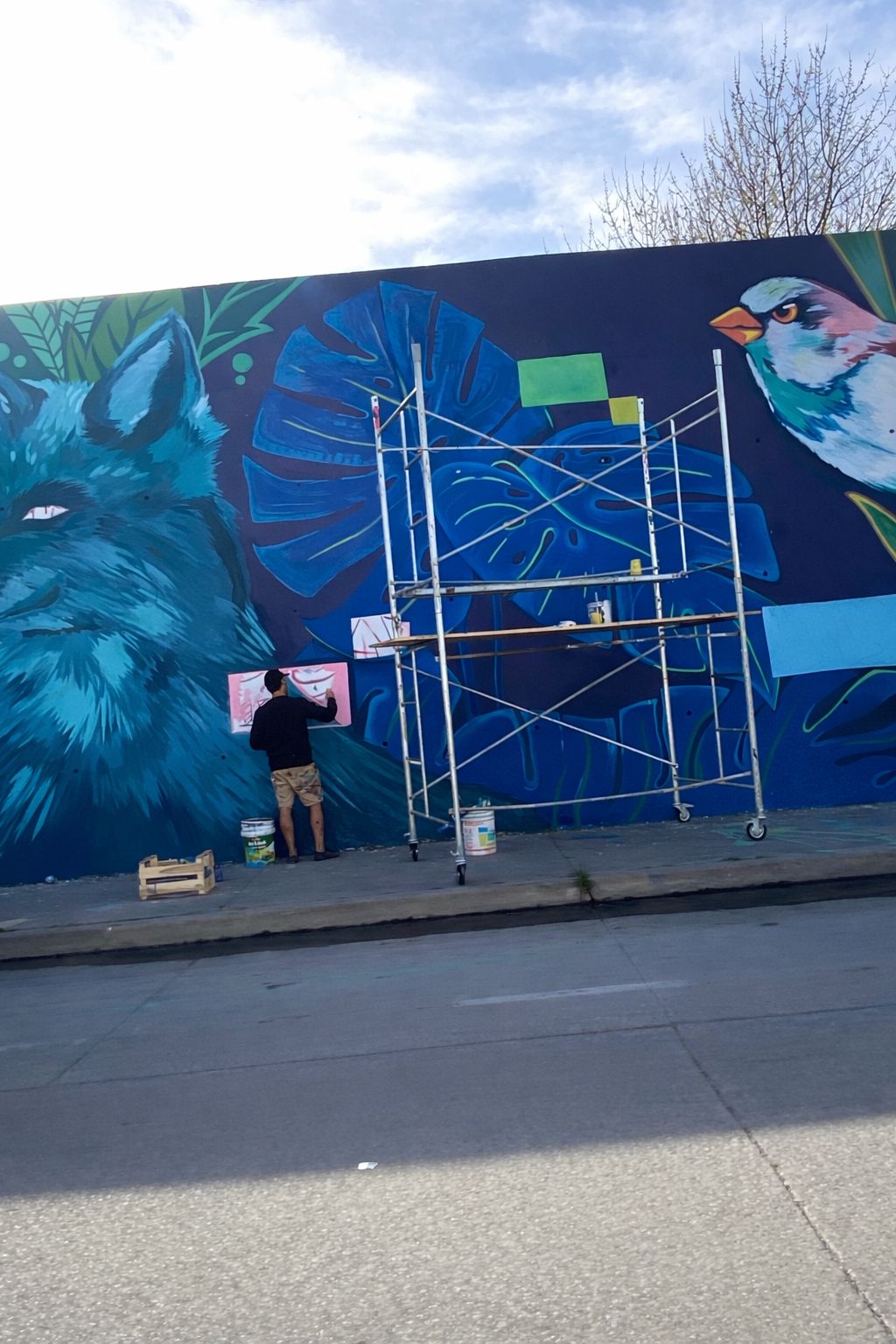 Andamio para muralista en Tucumán